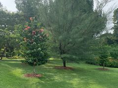 -新加坡总统府