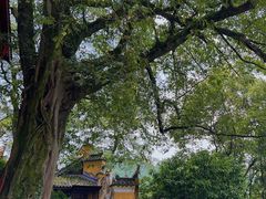 -涂山寺素食餐厅