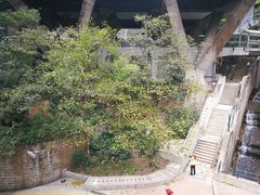 -香港大学
