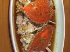 -前小桔亲子创意农场·草莓采摘·露营烧烤