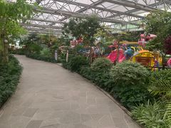 -南宫五洲植物乐园