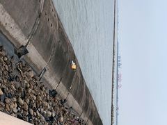 -东疆建设开发纪念公园