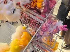 -老板恋上鱼(恒隆广场店)