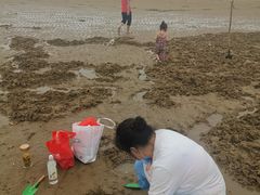 -刘家湾赶海园