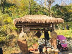 -千年银杏谷文化旅游区
