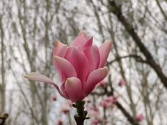 -经纬广场