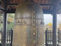 -太子山公园(园东路)