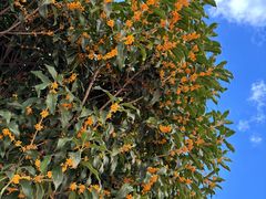 -东钱湖旅游度假区