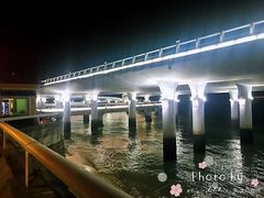 -演武大桥观景平台