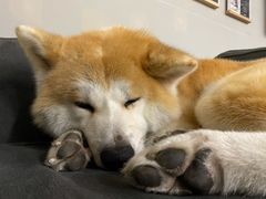 -YCHL Studios健身工作室(市二宫店)
