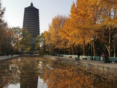 -玲珑塔公园