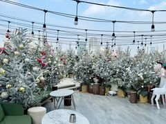-城市露台景观餐厅(淮海路店)