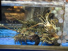 -炊江南·上海菜(国展华漕店)