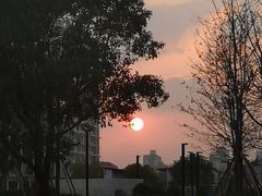 -云锦路(地铁站)