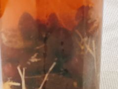 姜丝红枣茶-渔娘渔家丹东海鲜(东直门店)