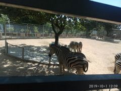 -泉州海丝野生动物世界