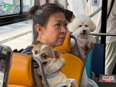 -帕帕拉兹宠物(亚洲旗舰店)