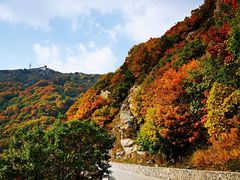 -白草畔自然风景区