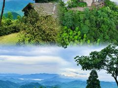 -莫干山风景区