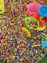 -卡通尼·Safari非洲探索乐园·生日会(金桥国际商业广场店)