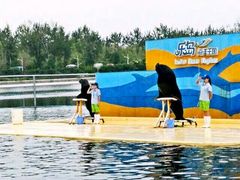 -秦皇岛乐岛海洋王国