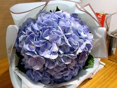 -胖哥现炒湘潭菜(上川店)