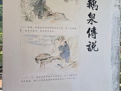 -靖西鹅泉风景区