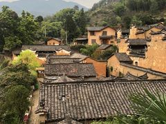 -杨家堂村
