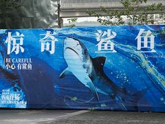 -重庆欢乐海底世界