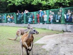 -西安秦岭野生动物园
