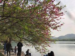 -苏堤停车场