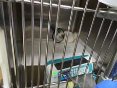 -瑞派·关忠动物医院·异宠专科·犬猫肿瘤·皮肤专科(望京店)