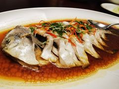 -大可堂普洱茶馆(襄阳南路馆)