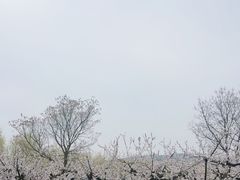 -艾山风景名胜区