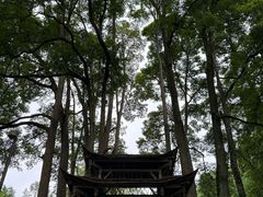-青城山