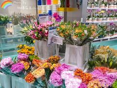 -盒马X会员店(上海森兰商都店)