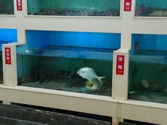 水产区-宜宾海鲜酒家·三十年老字号