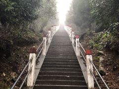 -江西阳明山国家森林公园