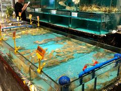 -潮粤香海鲜酒楼(沙湖店)