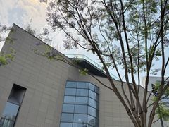 -四川大学博物馆