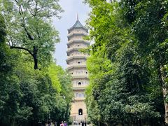 -灵谷景区