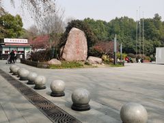 -东湖落雁景区
