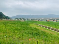 -光明小镇欢乐田园
