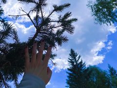 -可可托海景区
