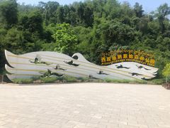 -西双版纳原始森林公园