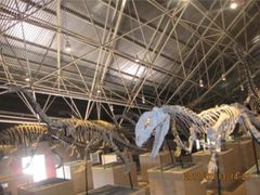 -世界恐龙谷景区