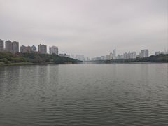 -南宁南湖公园