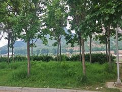 -燕塞湖鸟语林景区