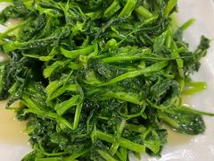 清炒豌豆尖-周家大连水饺(美专校街店)