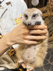 -Zoolung Zoolung动物主题公园(海信广场店)